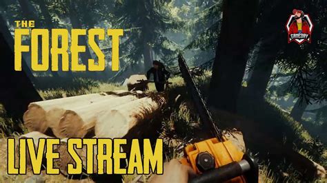 forest live stream
